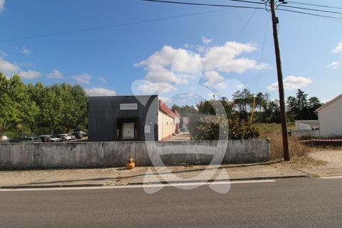 Erhvervsejendom i Cernache, Coimbra, Cernache - € 790.000 | Ref: cbr3055 - foto 14