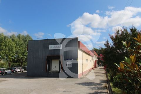 Erhvervsejendom i Cernache, Coimbra, Cernache - € 790.000 | Ref: cbr3055 - foto 15