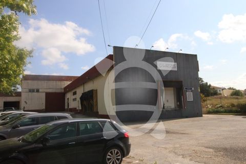 Erhvervsejendom i Cernache, Coimbra, Cernache - € 790.000 | Ref: cbr3055 - foto 16