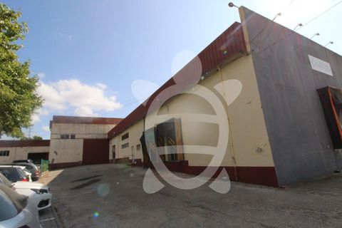 Erhvervsejendom i Cernache, Coimbra, Cernache - € 790.000 | Ref: cbr3055 - foto 18