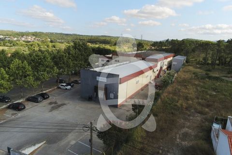 Erhvervsejendom i Cernache, Coimbra, Cernache - € 790.000 | Ref: cbr3055 - foto 19