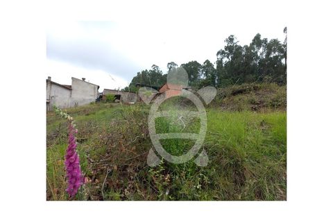 Helårsgrund i Coimbra, Coimbra, Coimbra - € 90.000 | Ref: cbr3048 - foto 8