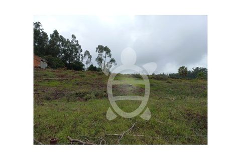 Helårsgrund i Coimbra, Coimbra, Coimbra - € 90.000 | Ref: cbr3048 - foto 11