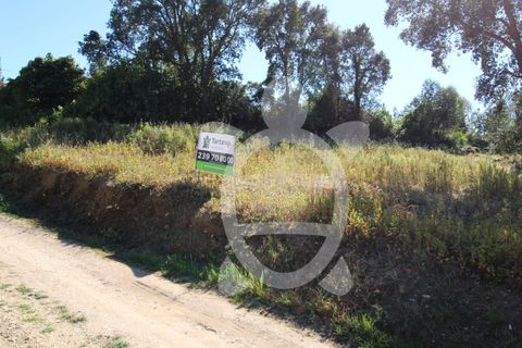 Helårsgrund i Coimbra, Coimbra, Coimbra - € 52.500 | Ref: cbr3026 - foto 6