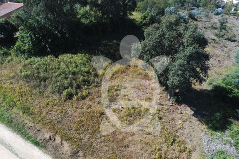 Helårsgrund i Coimbra, Coimbra, Coimbra - € 52.500 | Ref: cbr3026 - foto 5