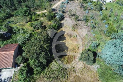 Helårsgrund i Coimbra, Coimbra, Coimbra - € 52.500 | Ref: cbr3026 - foto 8