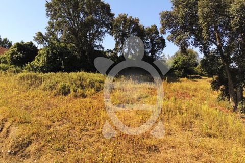 Helårsgrund i Coimbra, Coimbra, Coimbra - € 52.500 | Ref: cbr3026 - foto 9