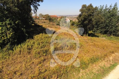 Helårsgrund i Coimbra, Coimbra, Coimbra - € 52.500 | Ref: cbr3026 - foto 10