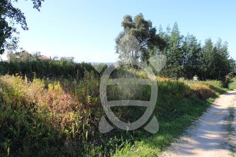 Helårsgrund i Coimbra, Coimbra, Coimbra - € 52.500 | Ref: cbr3026 - foto 11