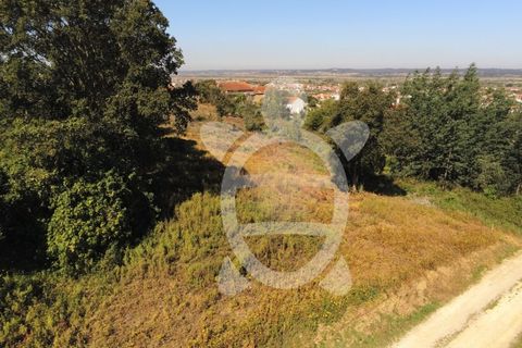 Helårsgrund i Coimbra, Coimbra, Coimbra - € 52.500 | Ref: cbr3026 - foto 14