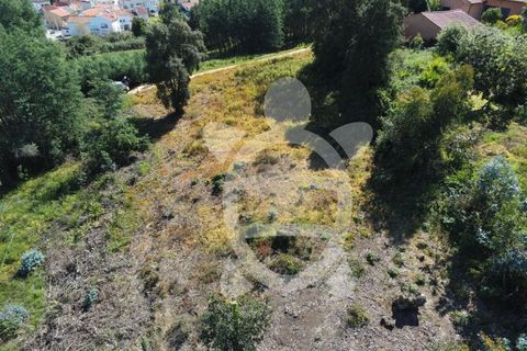Helårsgrund i Coimbra, Coimbra, Coimbra - € 52.500 | Ref: cbr3026 - foto 15