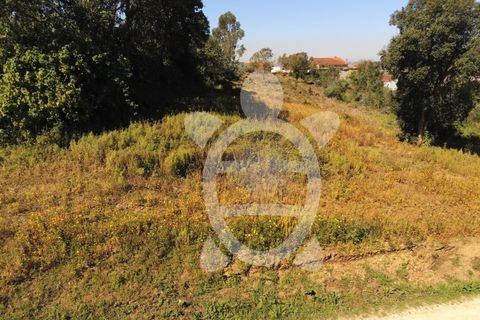 Helårsgrund i Coimbra, Coimbra, Coimbra - € 52.500 | Ref: cbr3026 - foto 16