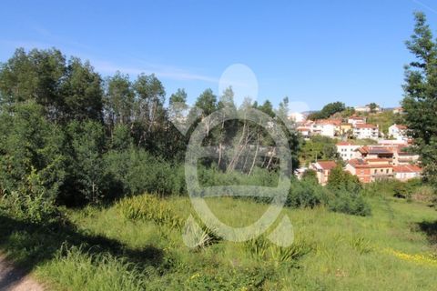 Helårsgrund i Coimbra, Coimbra, Coimbra - € 52.500 | Ref: cbr3026 - foto 18