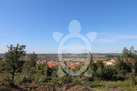 Helårsgrund i Coimbra, Coimbra, Coimbra - € 52.500 | Ref: cbr3026 - foto 19
