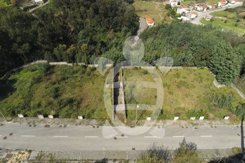 Helårsgrund i Coimbra, Coimbra, Coimbra - € 160.000 | Ref: cbr3021 - foto 3