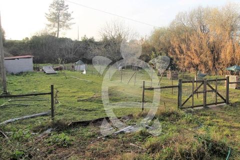 Terra a Cernache, Coimbra, Cernache - € 32.500 | Ref: SÒL_27730 - foto 2