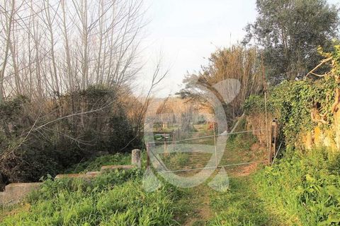 Terra a Cernache, Coimbra, Cernache - € 32.500 | Ref: SÒL_27730 - foto 4