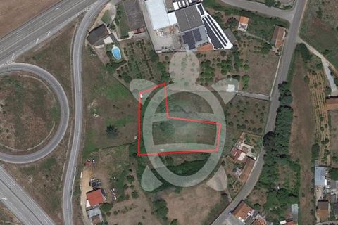 Terra a Cernache, Coimbra, Cernache - € 32.500 | Ref: SÒL_27730 - foto 3