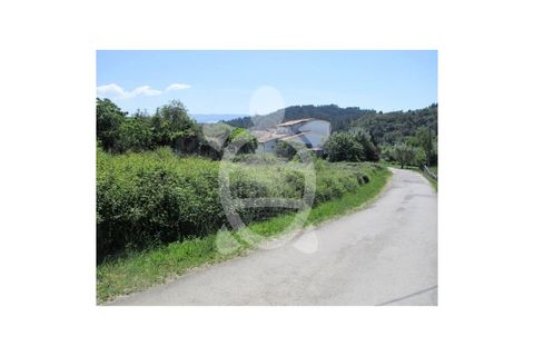 Helårsgrund i Miranda do Corvo, Coimbra, Miranda do Corvo - € 30.000 | Ref: cdx0727 - foto 2
