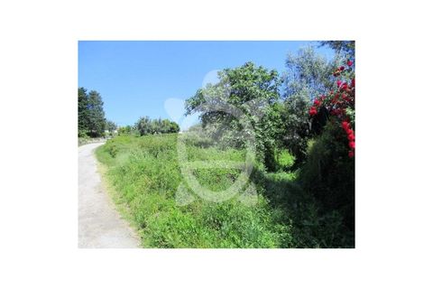 Helårsgrund i Miranda do Corvo, Coimbra, Miranda do Corvo - € 30.000 | Ref: cdx0727 - foto 4