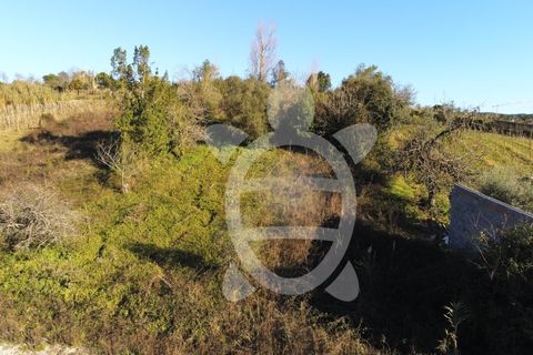 Helårsgrund i Coimbra, Coimbra, Coimbra - € 40.000 | Ref: cbr3001 - foto 2