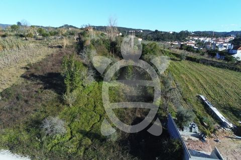 Helårsgrund i Coimbra, Coimbra, Coimbra - € 40.000 | Ref: cbr3001 - foto 3