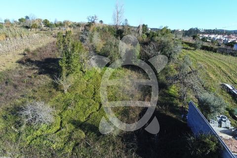Helårsgrund i Coimbra, Coimbra, Coimbra - € 40.000 | Ref: cbr3001 - foto 4