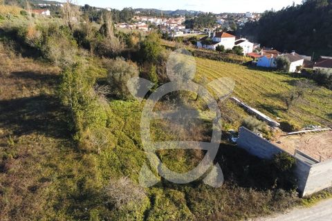Helårsgrund i Coimbra, Coimbra, Coimbra - € 40.000 | Ref: cbr3001 - foto 5