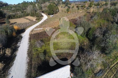 Helårsgrund i Coimbra, Coimbra, Coimbra - € 40.000 | Ref: cbr3001 - foto 6
