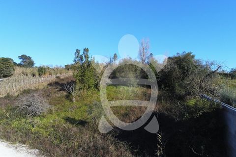 Helårsgrund i Coimbra, Coimbra, Coimbra - € 40.000 | Ref: cbr3001 - foto 8