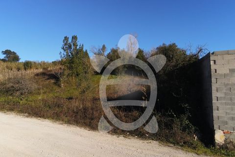 Helårsgrund i Coimbra, Coimbra, Coimbra - € 40.000 | Ref: cbr3001 - foto 9
