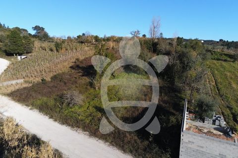 Helårsgrund i Coimbra, Coimbra, Coimbra - € 40.000 | Ref: cbr3001 - foto 10