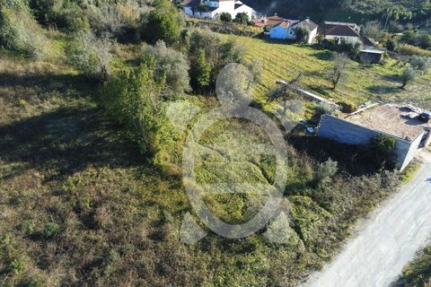 Helårsgrund i Coimbra, Coimbra, Coimbra - € 40.000 | Ref: cbr3001 - foto 11