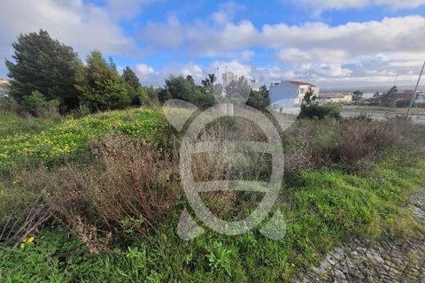Terra a Vila Verde, Coimbra, Vila Verde - € 55.000 | Ref: ff1413 - foto 4