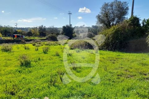Helårsgrund i Assafarge e Antanhol, Coimbra, Assafarge e Antanhol - € 150.000 | Ref: cbr2971 - foto 4