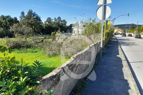 Helårsgrund i Assafarge e Antanhol, Coimbra, Assafarge e Antanhol - € 150.000 | Ref: cbr2971 - foto 6