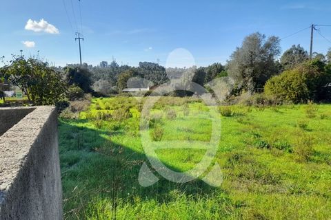 Helårsgrund i Assafarge e Antanhol, Coimbra, Assafarge e Antanhol - € 150.000 | Ref: cbr2971 - foto 9
