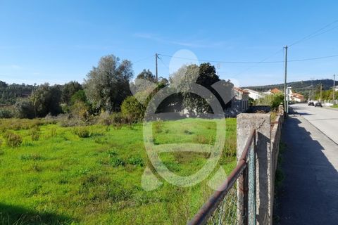 Helårsgrund i Assafarge e Antanhol, Coimbra, Assafarge e Antanhol - € 150.000 | Ref: cbr2971 - foto 10