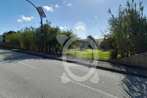Helårsgrund i Assafarge e Antanhol, Coimbra, Assafarge e Antanhol - € 150.000 | Ref: cbr2971 - foto 12