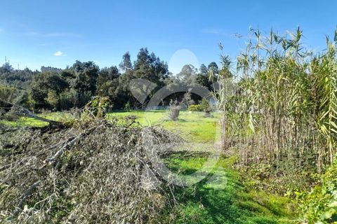 Helårsgrund i Assafarge e Antanhol, Coimbra, Assafarge e Antanhol - € 150.000 | Ref: cbr2971 - foto 13