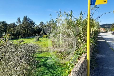 Helårsgrund i Assafarge e Antanhol, Coimbra, Assafarge e Antanhol - € 150.000 | Ref: cbr2971 - foto 14