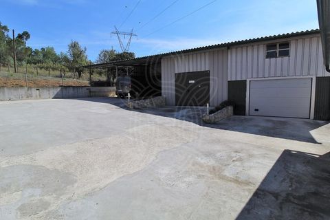 Farm i Cernache, Coimbra, Cernache - € 322.500 | Ref: cbr2964 - foto 8