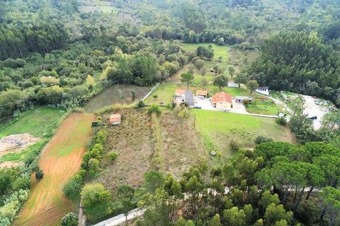 Farm i Cernache, Coimbra, Cernache - € 322.500 | Ref: cbr2964 - foto 10