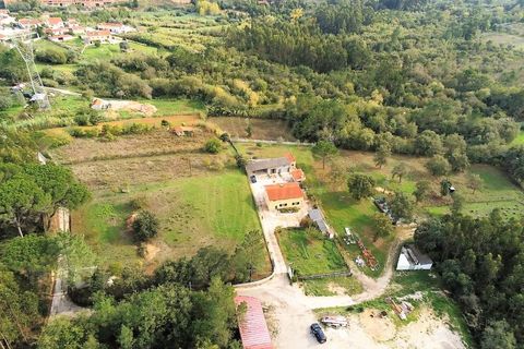 Farm i Cernache, Coimbra, Cernache - € 322.500 | Ref: cbr2964 - foto 11