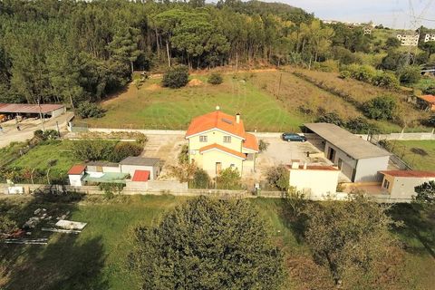 Farm i Cernache, Coimbra, Cernache - € 322.500 | Ref: cbr2964 - foto 12