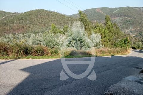 Helårsgrund i Coimbra, Coimbra, Coimbra - € 33.000 | Ref: cbr2925 - foto 2