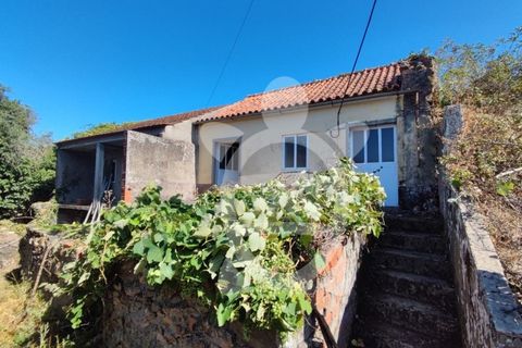 Villa a Penela, Coimbra, Penela - € 18.000 | Ref: cdx0756 - foto 8