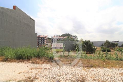 Helårsgrund i Tavarede, Coimbra, Tavarede - € 93.900 | Ref: ff1342 - foto 2