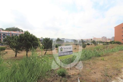 Helårsgrund i Tavarede, Coimbra, Tavarede - € 93.900 | Ref: ff1342 - foto 5