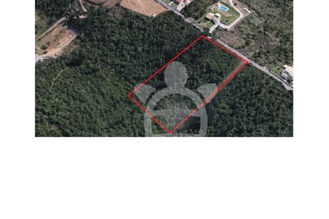 Terra a Assafarge e Antanhol, Coimbra, Assafarge e Antanhol - € 14.500 | Ref: cbr2906 - foto 3